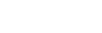 Planificación de Cuenta Entender a la organización. Organización formal e informal. El negocio del cliente. Necesidades estratégicas del cliente y de las unidades de negocio. Iniciativas de negocio. Plan financiero. Capex y Opex. Detección y creación de oportunidades durante la planificación. Satisfacción y Experiencia de Cliente